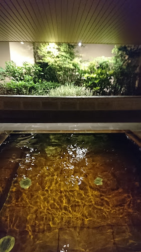 天然温泉 柏の葉